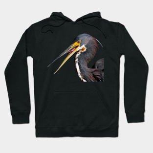 Tricolored Heron Hoodie